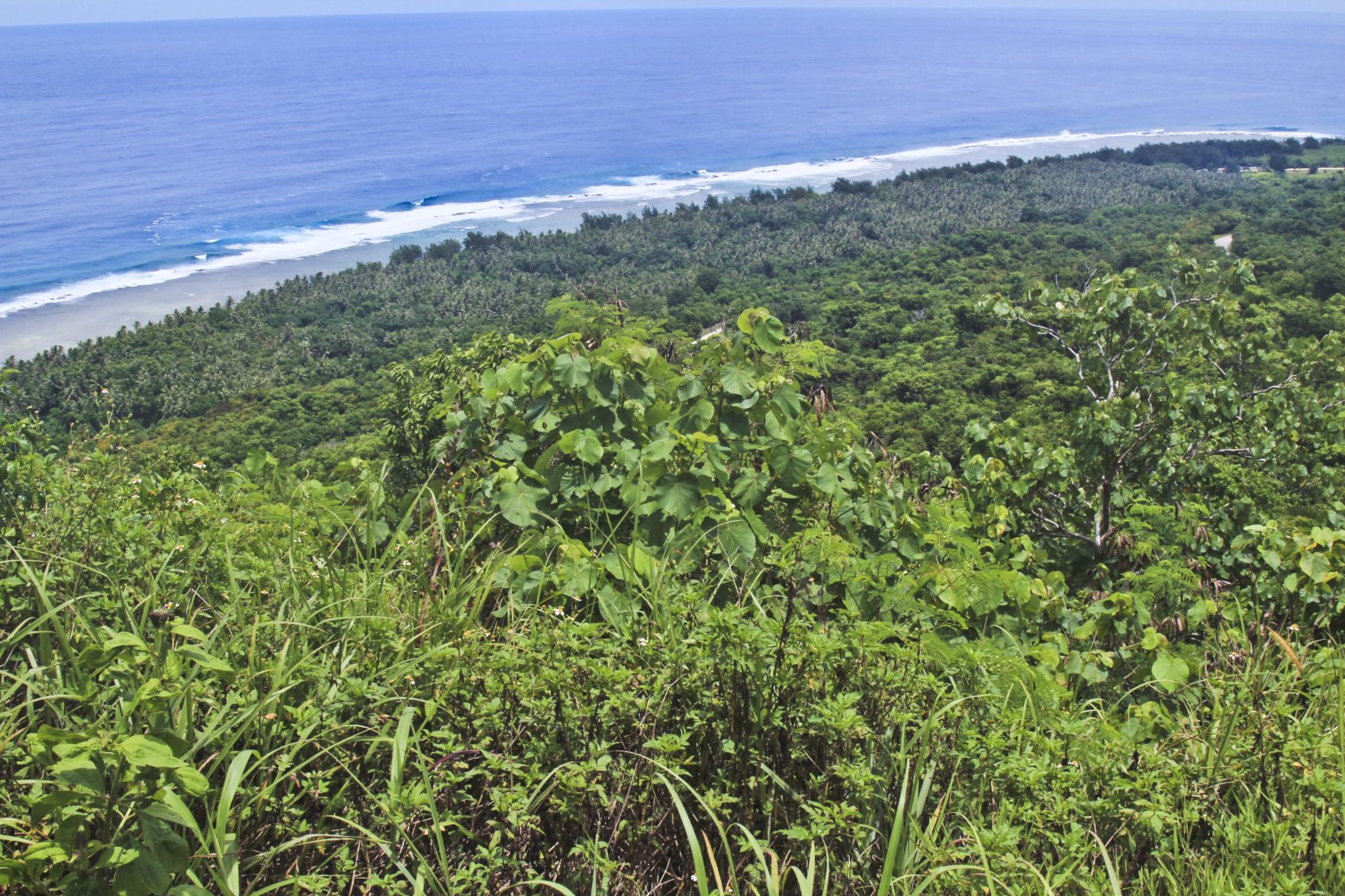 Rescue attempt ends in death of good Samaritan